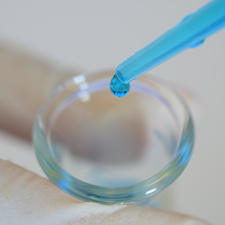 vitro